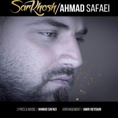  احمد صفایی سرخوش