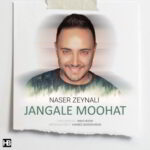 دانلود آهنگ ناصر زینعلی جنگلِ موهات