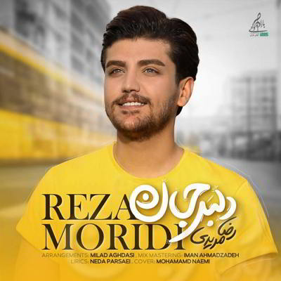  رضا مریدی دلبر جان 