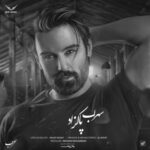 دانلود آهنگ سهراب پاکزاد گل بی نقص