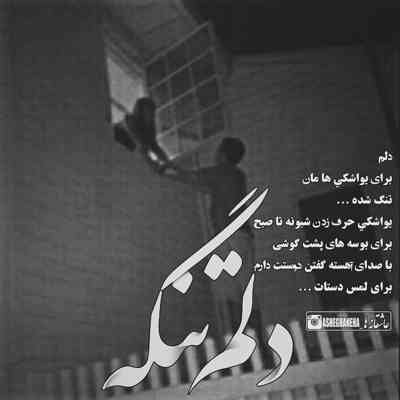 آهنگ دلم تنگه پرتقال من