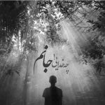 آهنگ به چه هوایی شده جون میده واسه عاشقی بیاد هی قدم زنون نگاش کنی راه بری
