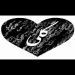 آهنگ گلی بی تو همه بامن بدن یه سر بم بزن کی همرنگته بی تو پر غمه گلخونمون برگرد