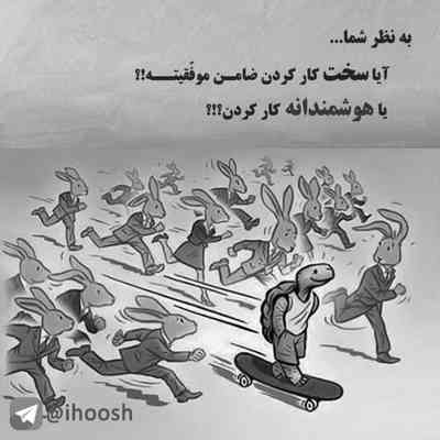 آهنگ من واسه این کار زاده شدم