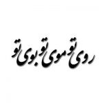 آهنگ بوی تو می کشد مرا سوی تو میکشد مرا ای که تو سوی خویش روم