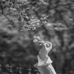 آهنگ وای چه آقایی چه قدو بالایی آخه مگه داریم این همه رویایی