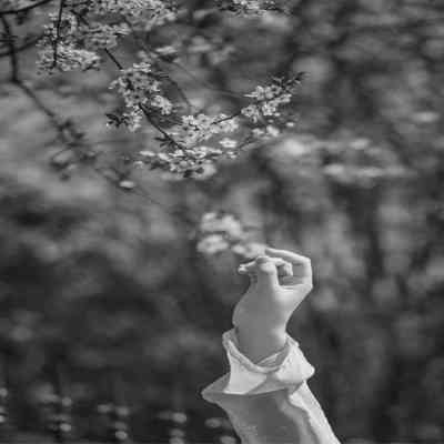 آهنگ وای چه آقایی
