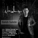 دانلود آهنگ صالح صالحی چه حالی دارم