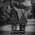 آهنگ انقده خاطره دارم من با تو که نمیشه کمش کرد دل بده تا دلمو به دلت بسپارم
