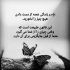 دانلود آهنگ بهرام فرداد بی نظیر