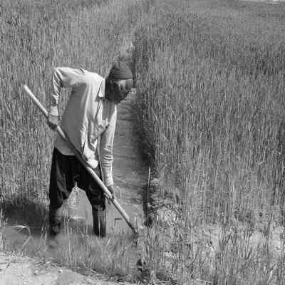 آهنگ درست برای مردم خوزستان