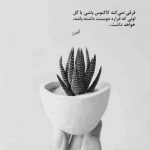 آهنگ منو تو مسافریم چمدونتو ببند باید بریم اینجا بازار یه رنگی ساکته عشق فقط حرفه واسه یه رابطه