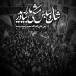 مداحی چوللرده آهولر ملر ای صود امر آهو سنه دریا قوتارمازدی بیر آز وئرسیدی دشمن سو سنه