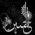 مداحی یه سفیر بی پناه از راه دور روی ماه تو رو میبوسه حسین جای مسلم که اسیر غربته