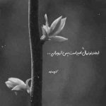 آهنگ من از خدامه بمونی کنارم من که به جز تو کسیو ندارم من علی عبدالمالکی