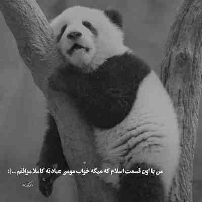 آهنگ غم عالم تو دلم