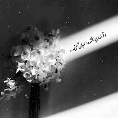 آهنگ میریزم تو راهت گلای شقایق