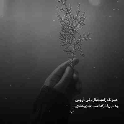 آهنگ بی آشیانه گشتم خانه به خانه گشتم