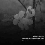 آهنگ منو آروم کن یه ذره که جونم واسه تو در ره میخوام عاشق بشم علی جهان