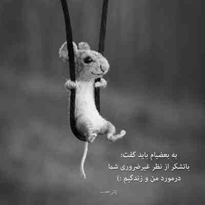 آهنگ بیا تا خونه پر از گلای شمعدونی بشه