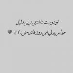 آهنگ دیوونه بازیاتو دوست داشتم هرجوری بود اصلا نمیذاشتم