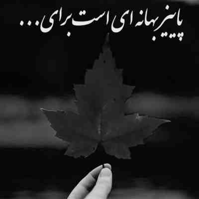 امشبم دوباره من هوای تو زد به سرم