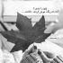 آهنگ امشبم دوباره من هوای تو‌ زد به سرم بگو‌ من چیکار کنم یکم‌ الان کم شه غمم