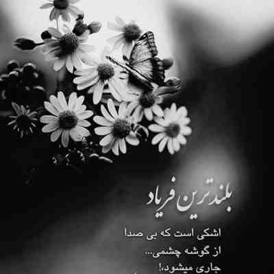 آهنگ همه شب نالم چون