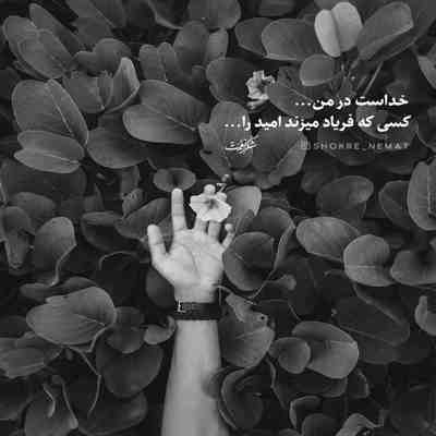 آهنگ دریا دلتنگم براش