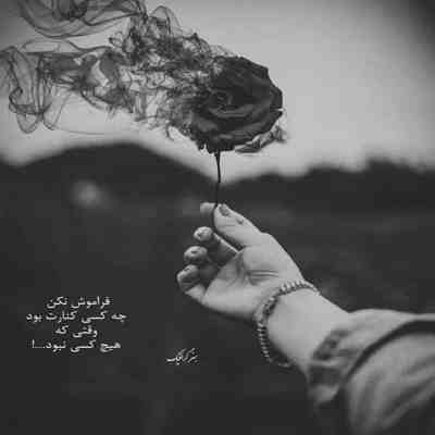 آهنگ دلمو دادم بهت مراقبش باش