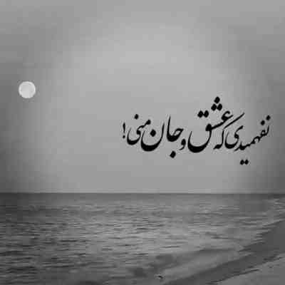 آهنگ میخواد قلب من با تو قدم زدن