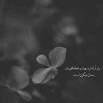 آهنگ من یه دونه گل تو دستمه عاشقتم همین بسمه عاشقم بی تو این بسمه خوب