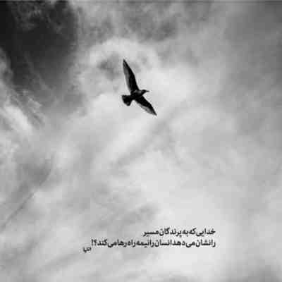 آهنگ پر بکش در خیالم چنان عاشقی کن
