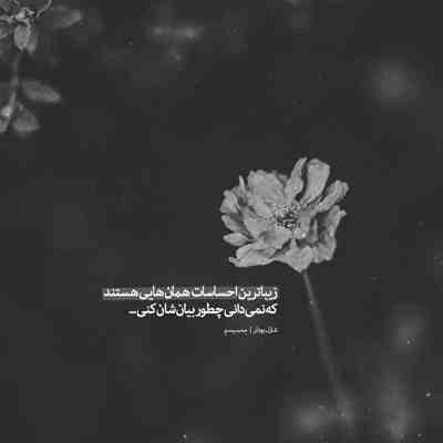آهنگ روزای خوبمونو یادت میاد نه