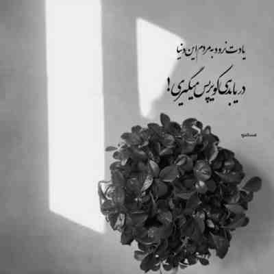 آهنگ یه جوری آلودتم رنگ نداره صورتم