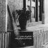آهنگ بسه جون دوتامون دیگه خسته شدم از این حالی که دست دل بیچارم میدی بسه حامیم