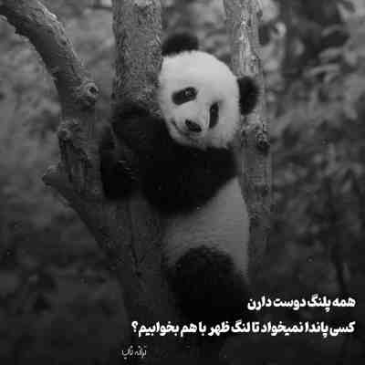 آهنگ یاد اون شبا که الکی خوش میگذشت