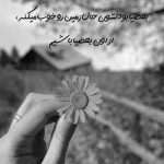 آهنگ هوادارت تا آخرش منم گرفتارت اخرشم میمونه تو یادت هیشکی نمیرسید به فریادت