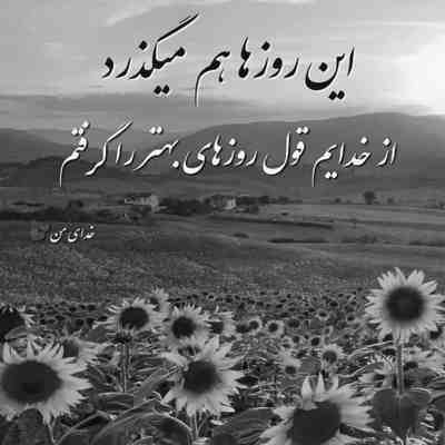 آهنگ کل این شهرو قرق کرده دلم