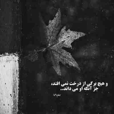 سر تو با همه جنگ میکنم تو فقط رو به روی من نباش