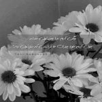 آهنگ بانوی من شاه دل رو ببر که وقتشه به آغوشت که پایتختشه بی تو هر کاری سختشه