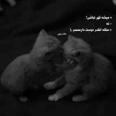قربون تو برم و بر نگردم تاج سرم دور سرت