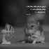 آهنگ قربون تو برم و بر نگردم تاج سرم دور سرت بگردم گشتم و گشتم تو رو پیدا کردم