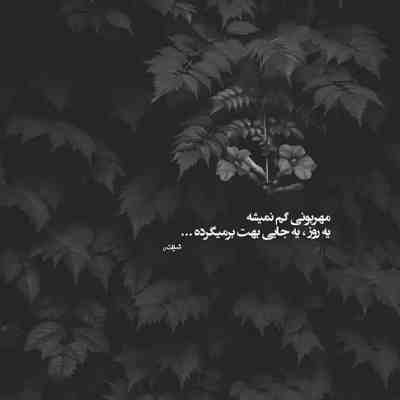آهنگ بی تو بارانی ام غرق حیرانی ام 