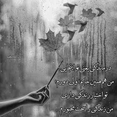آهنگ ای دل و دلدار من یار وفادار من