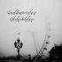 آهنگ دلبری میکنی هربار با رنگ موی جدیدت چند روز یه بار خیلی دیره