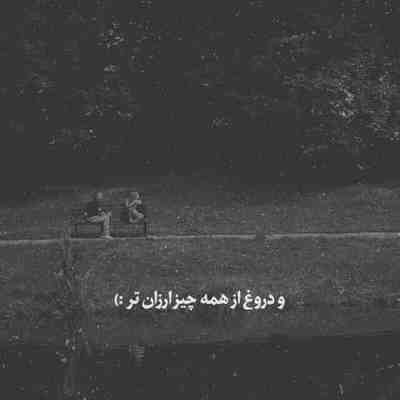 آهنگ تو شیری تو سلطانی