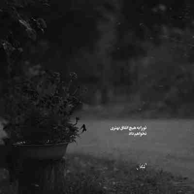 آهنگ با پای پیاده من رفتم گشتم