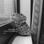 آهنگ اینکه عاشقتم خیلی حرفه نرو تو هم پیگیرمی بیا طفره نرو