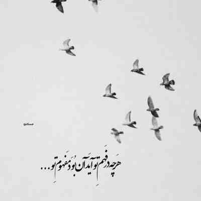 آهنگ زنگ زردی خزان لیلا خطای پاییزه